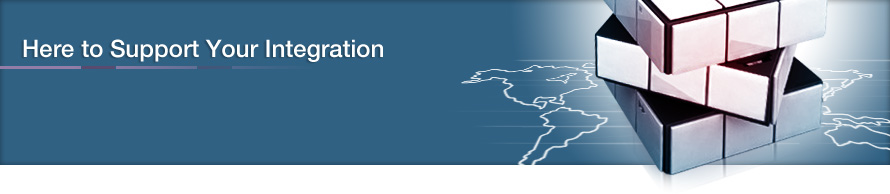 Integration through Global Services with a Local Touch